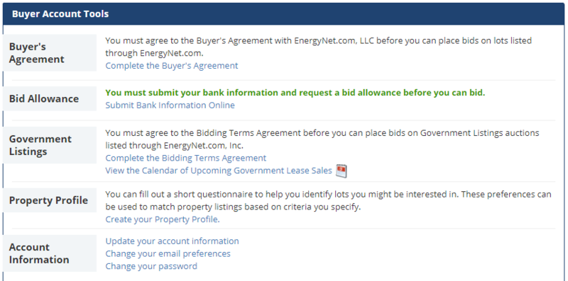 Image showing a Buyers bid allowance on their Buyers Homepage